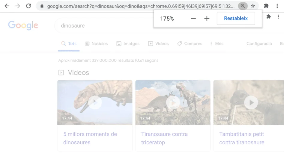 Finestra del navegador Chrome oberta en una pàgina web amb la funció Zoom activada.