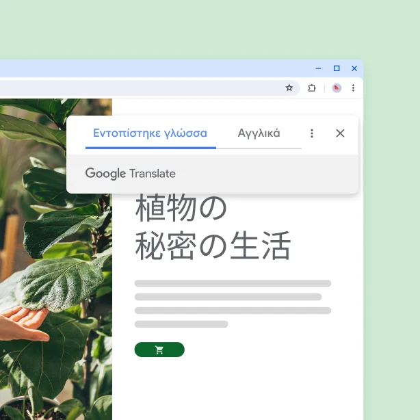 Ένας ιστότοπος με φυτά και το μεταφρασμένο κείμενο 'Η μυστική ζωή των φυτών'