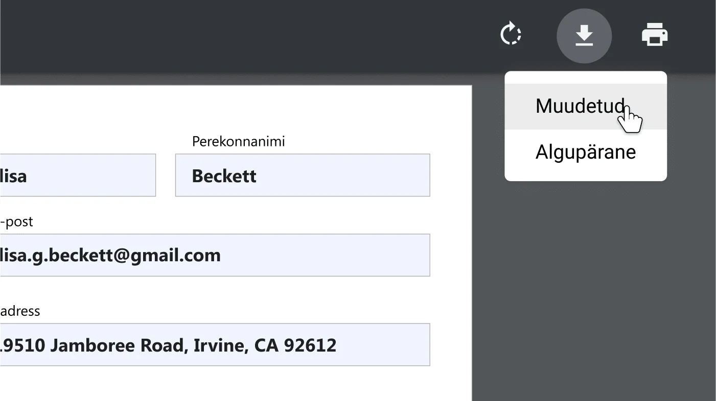 Chrome’i brauseriaken, milles on kuvatud avatud PDF-dokument, milles on sisse suumitud allalaadimise ja printimise valikute menüü.