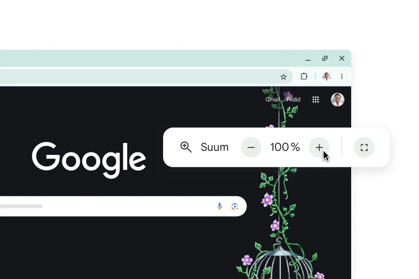 Google'i avaleht ja hüpik 100% suumiga