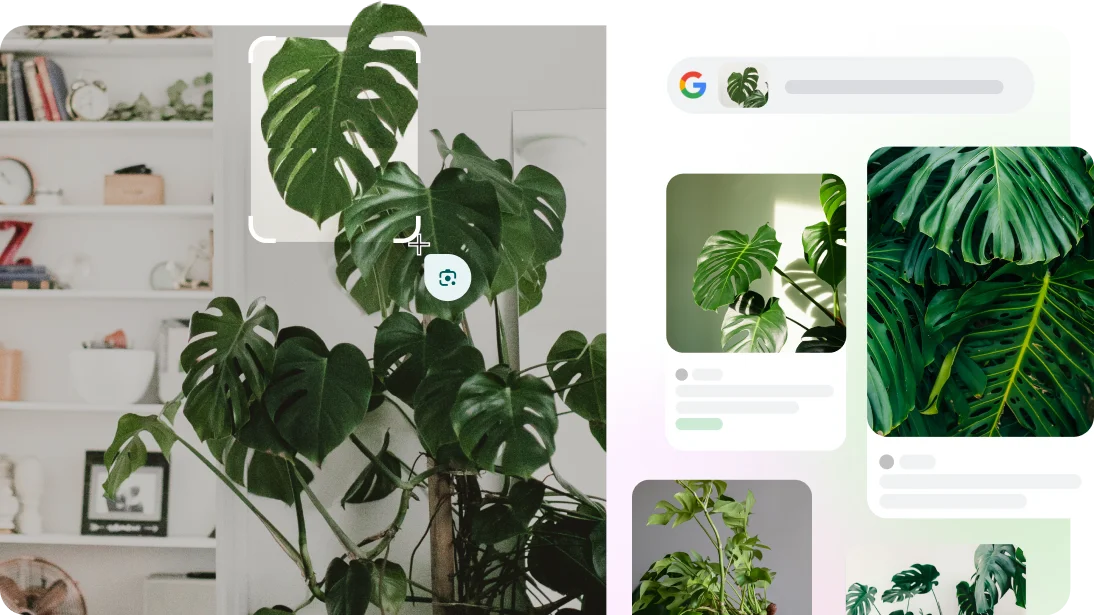 Ginagamit ang Google Lens para tumukoy ng maleta sa webpage at ng breed ng aso at halaman sa camera app.