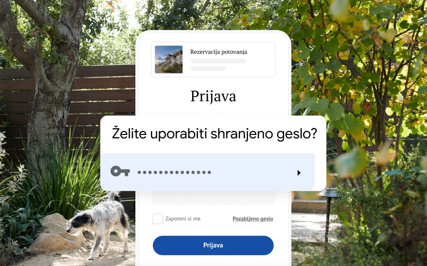 Stran za prijavo za rezervacijo potovanja pozove k uporabi shranjenega gesla. V ozadju je prizor iz narave.